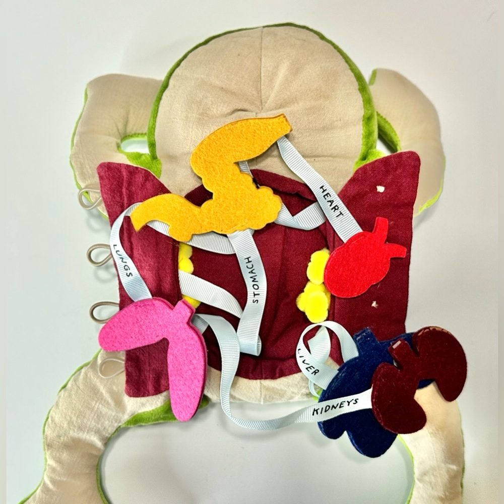 KiwiCo Froggie Lab Dissection, Frog Plush Anatomy Learning Toy